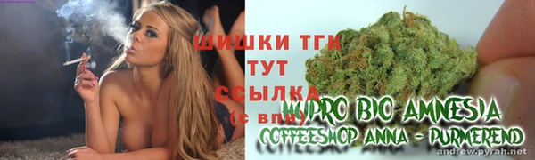 спайс Аркадак