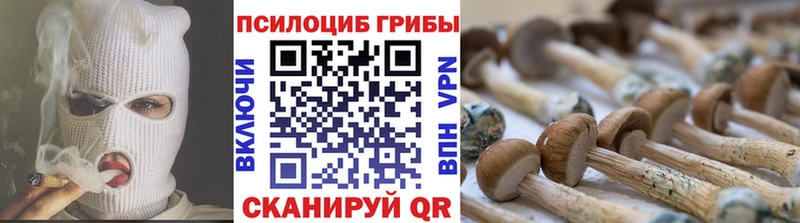 где продают наркотики  Светлый  Псилоцибиновые грибы Magic Shrooms 